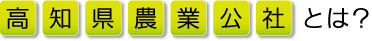 高知県農業公社とは?