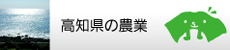 高知県の農業