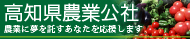 財団法人高知県農業公社 農業に夢を託すあなたを応援します。